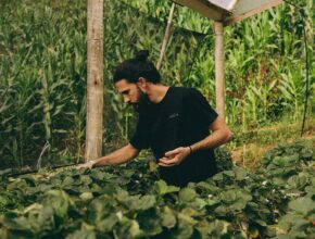 Farm Jobs in the USA