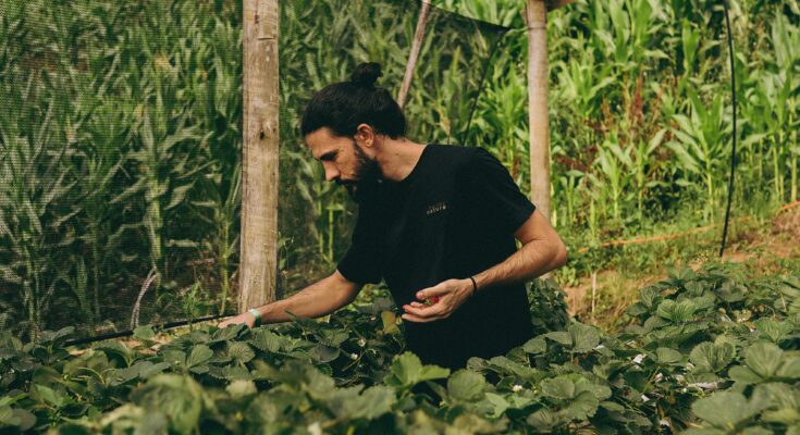 Farm Jobs in the USA
