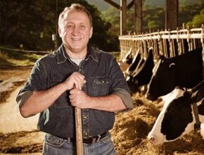 Australia Dairy Farm Jobs