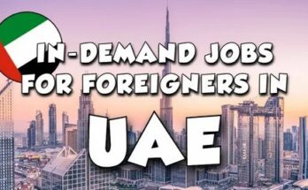 Dubai Highest Paid Jobs