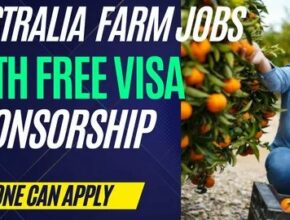 Australia Fruit Picking Jobs