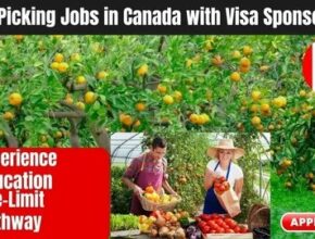 Canada Fruit Picking Jobs