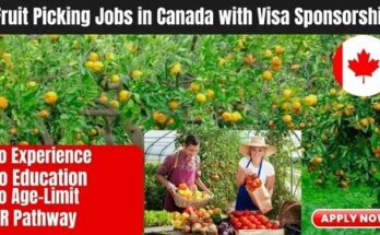 Canada Fruit Picking Jobs