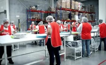 Factory Packing Jobs in Italy for Saudi Residents – 2025 Visa Sponsorship & Monthly Salary Guide